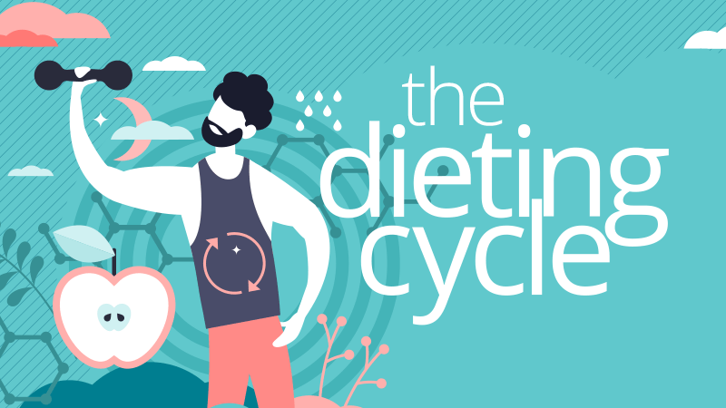 diet-cycle-blog diet cycle banner
